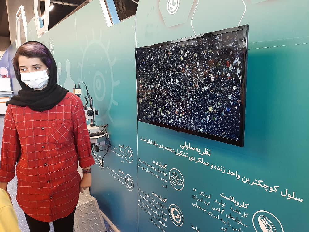 گالری باشگاه زیست